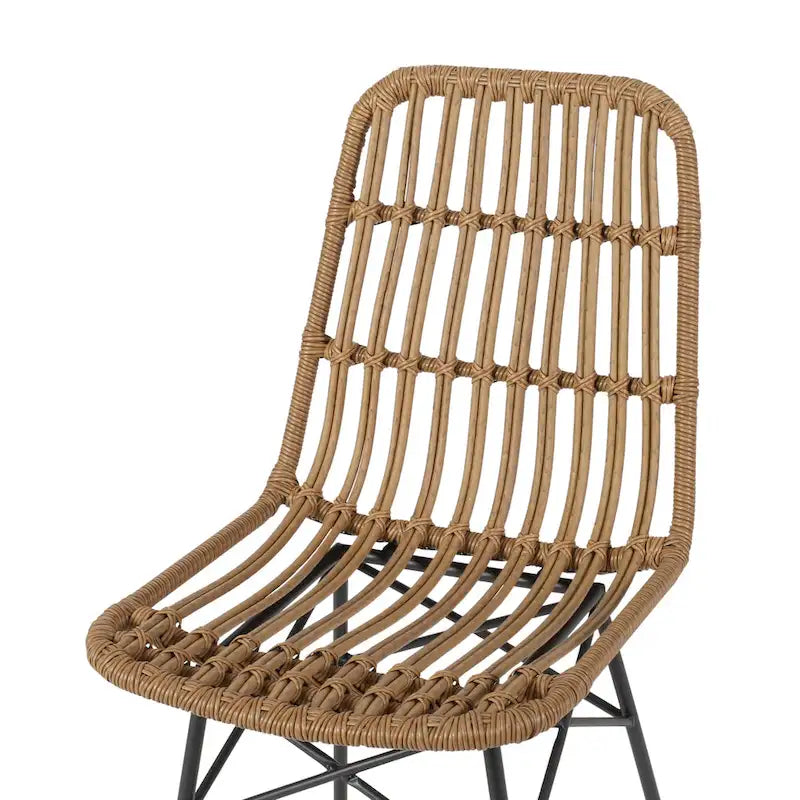 Chaises de salle à manger en rotin (ensemble de deux)